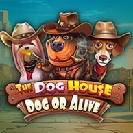 The Dog House Dog Or Alive – slot z bonusami
